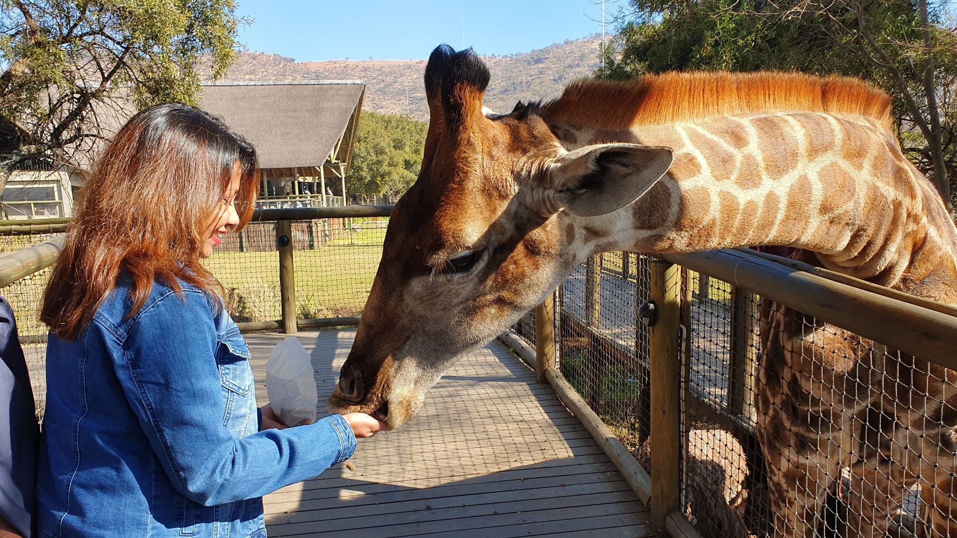 File:Love Between Animal & Human.jpg