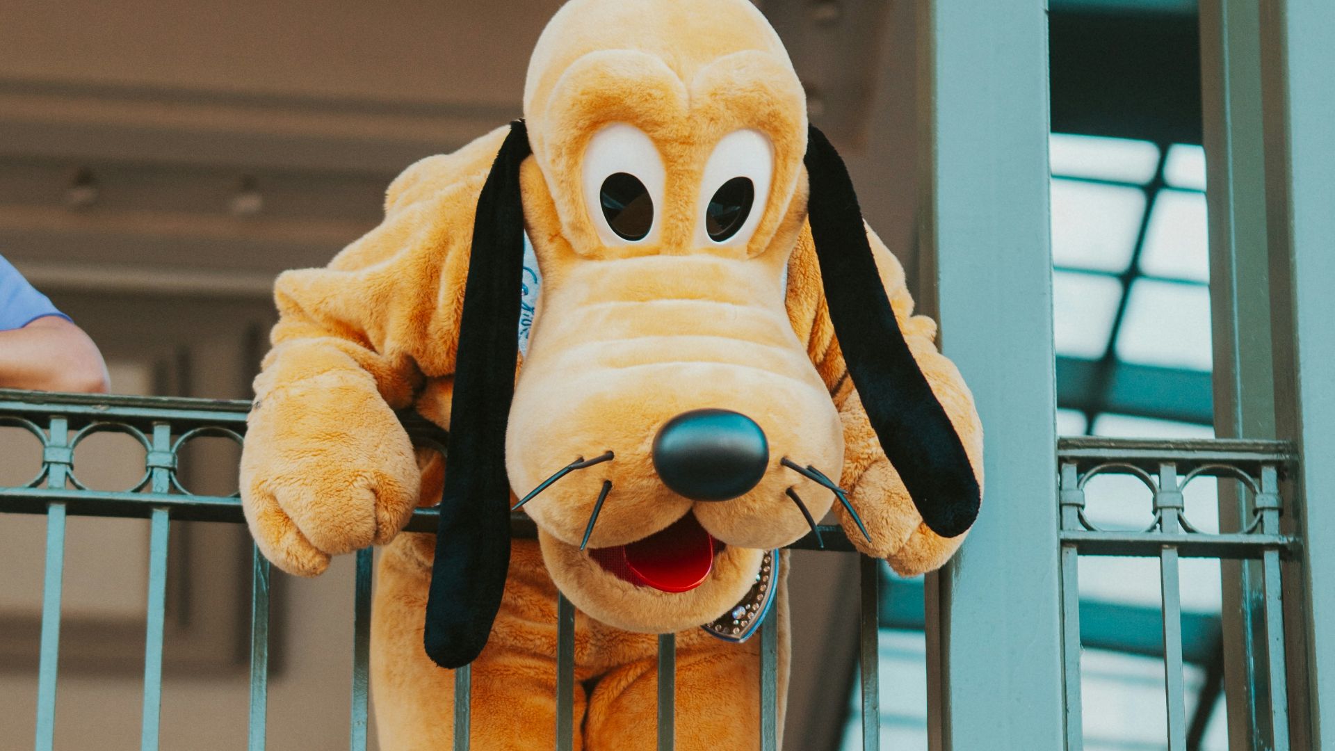 a person in a garment