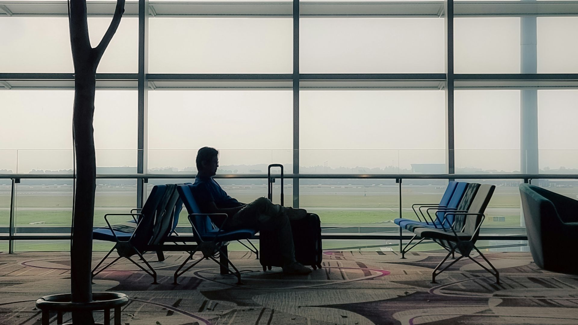 a man sitting in a chair next to a tree