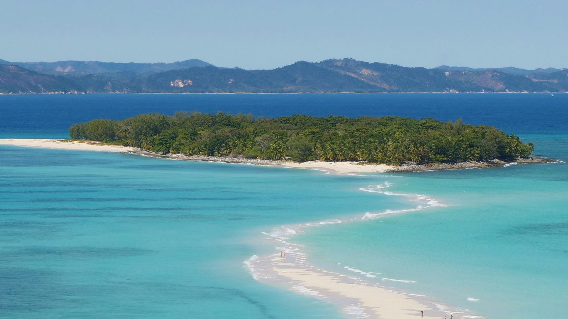 a beach with blue water and trees