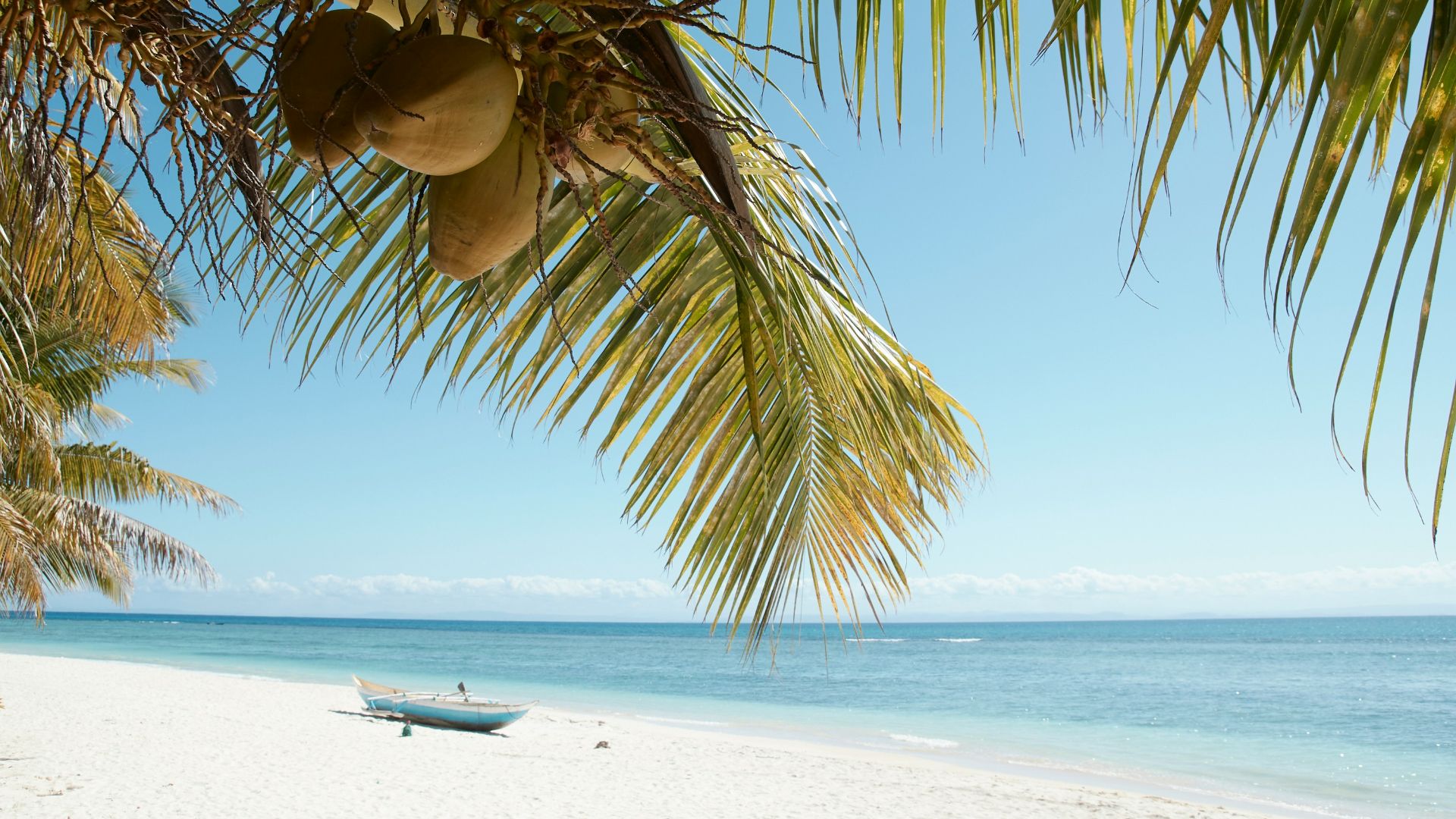 white and black boat on beach during daytime