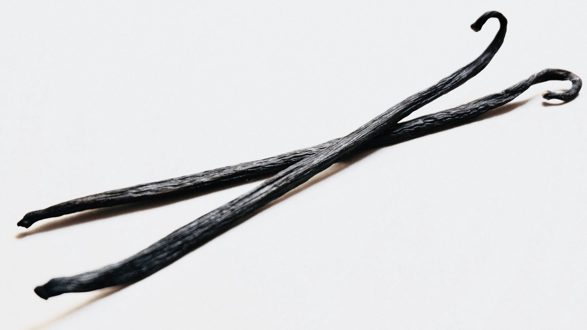 black and white straight line