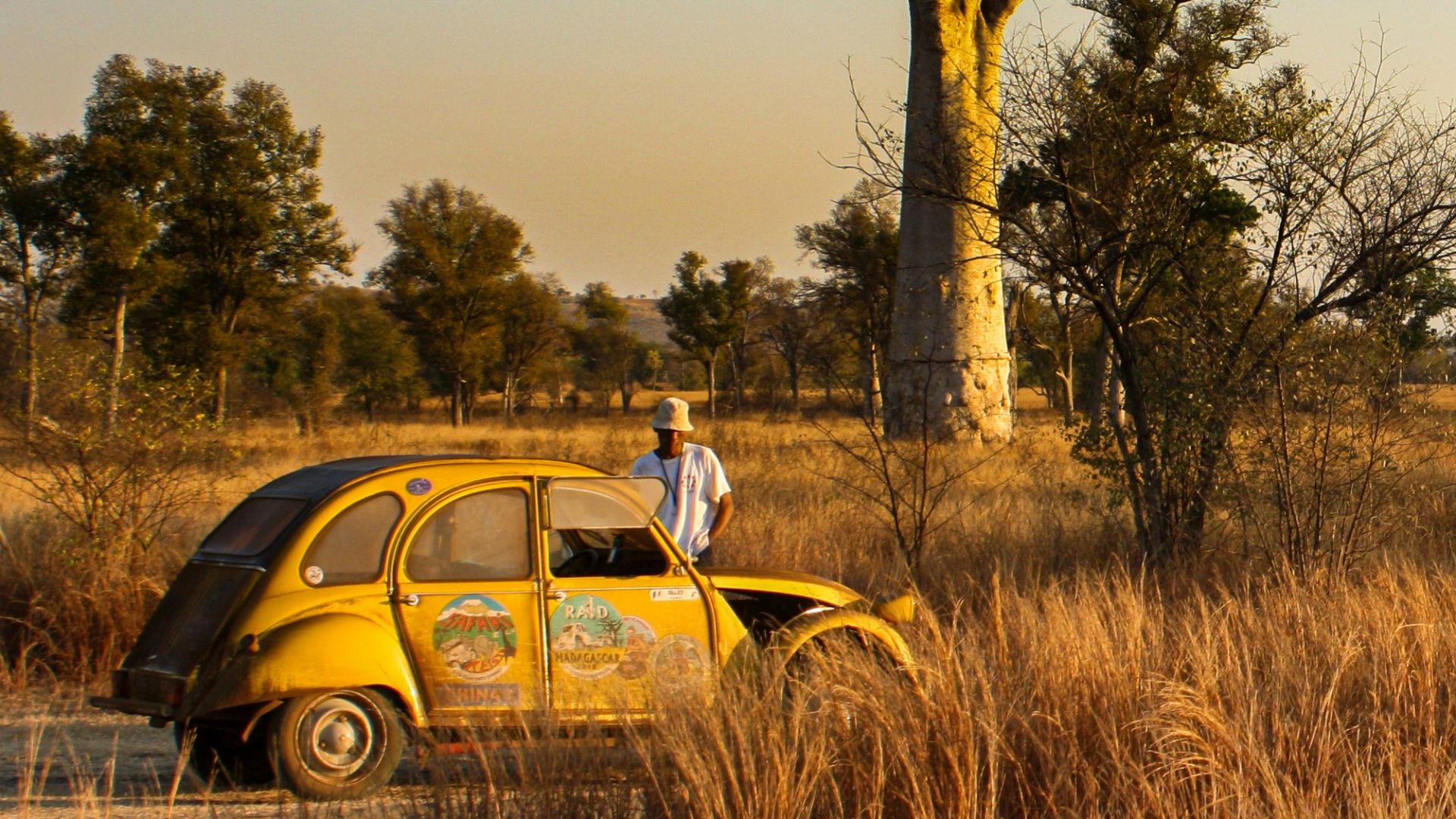 yellow and white volkswagen beetle on brown grass field during daytime