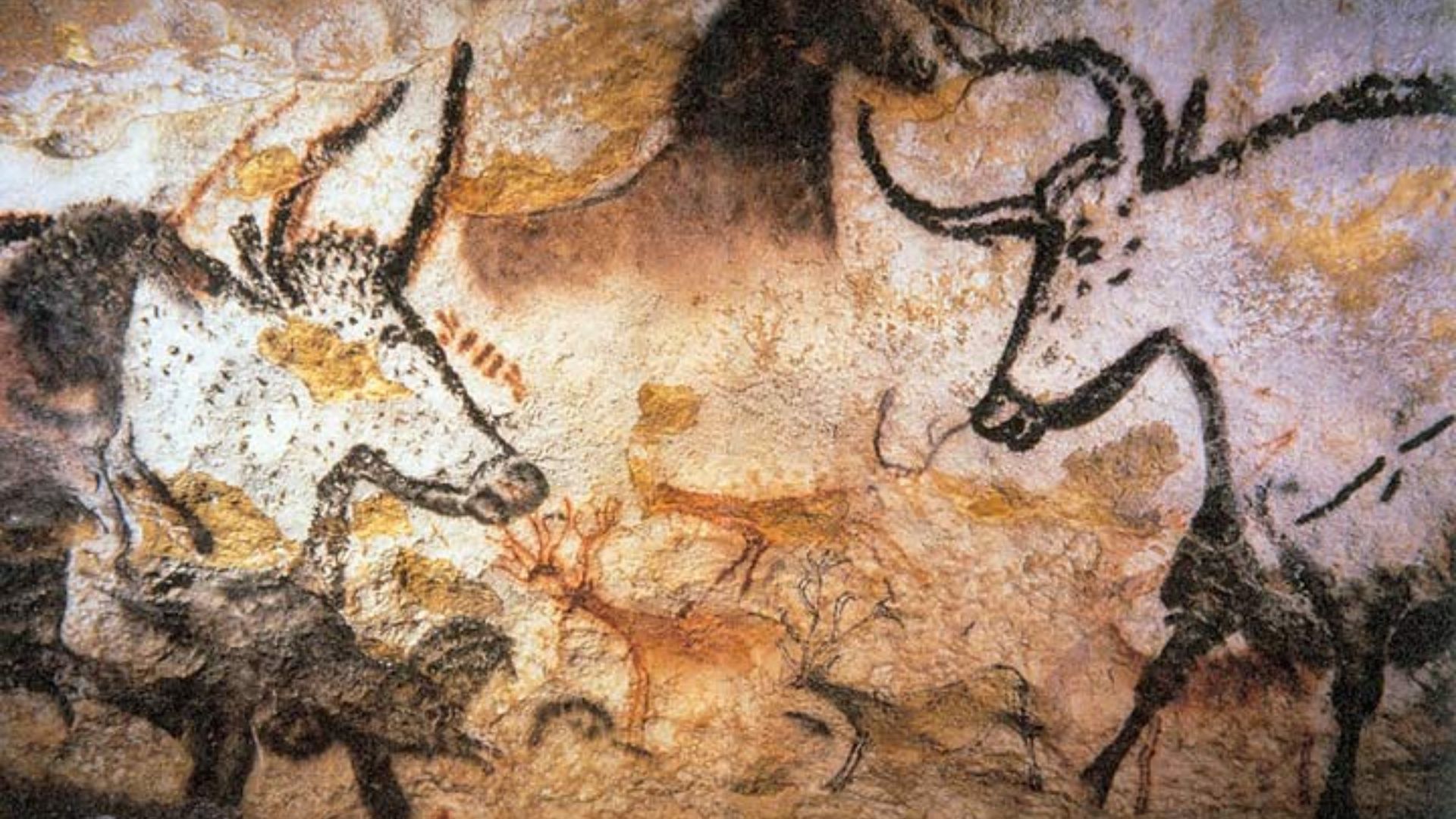 File:Lascaux painting.jpg