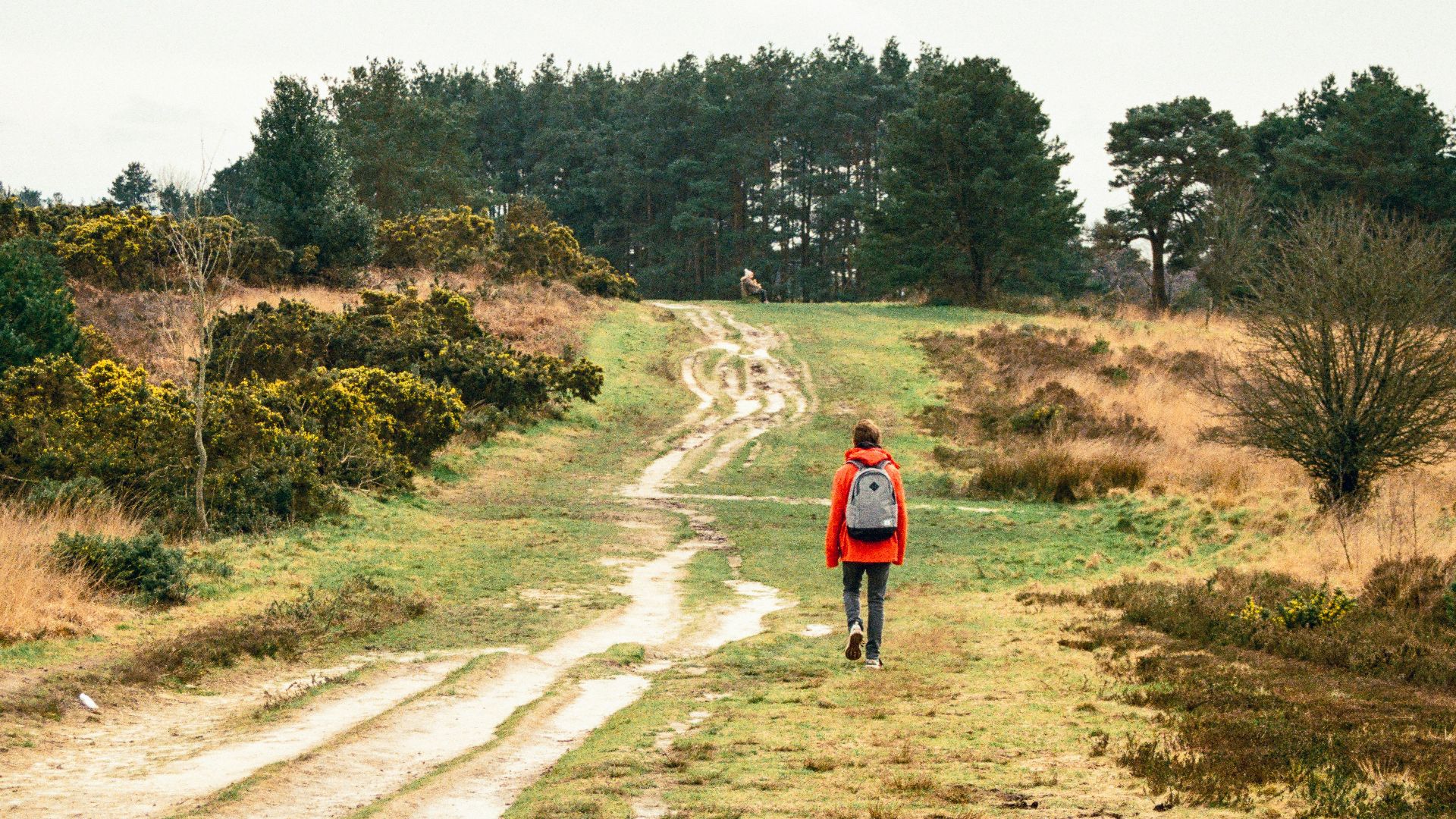 a person walking down a dirt road in a field