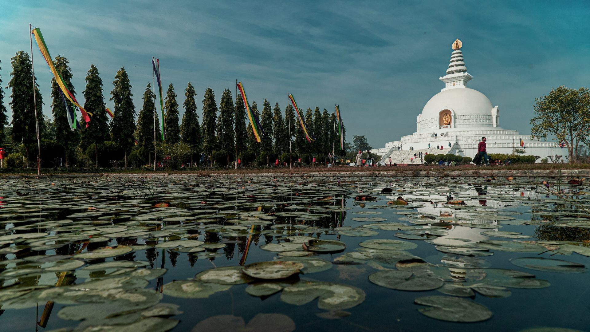 white concrete building near green trees under blue sky during daytime
