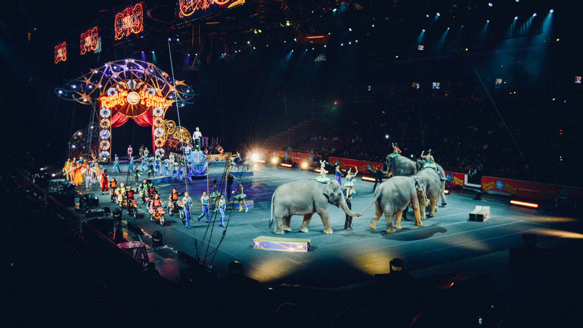 gray elephants performing on circus
