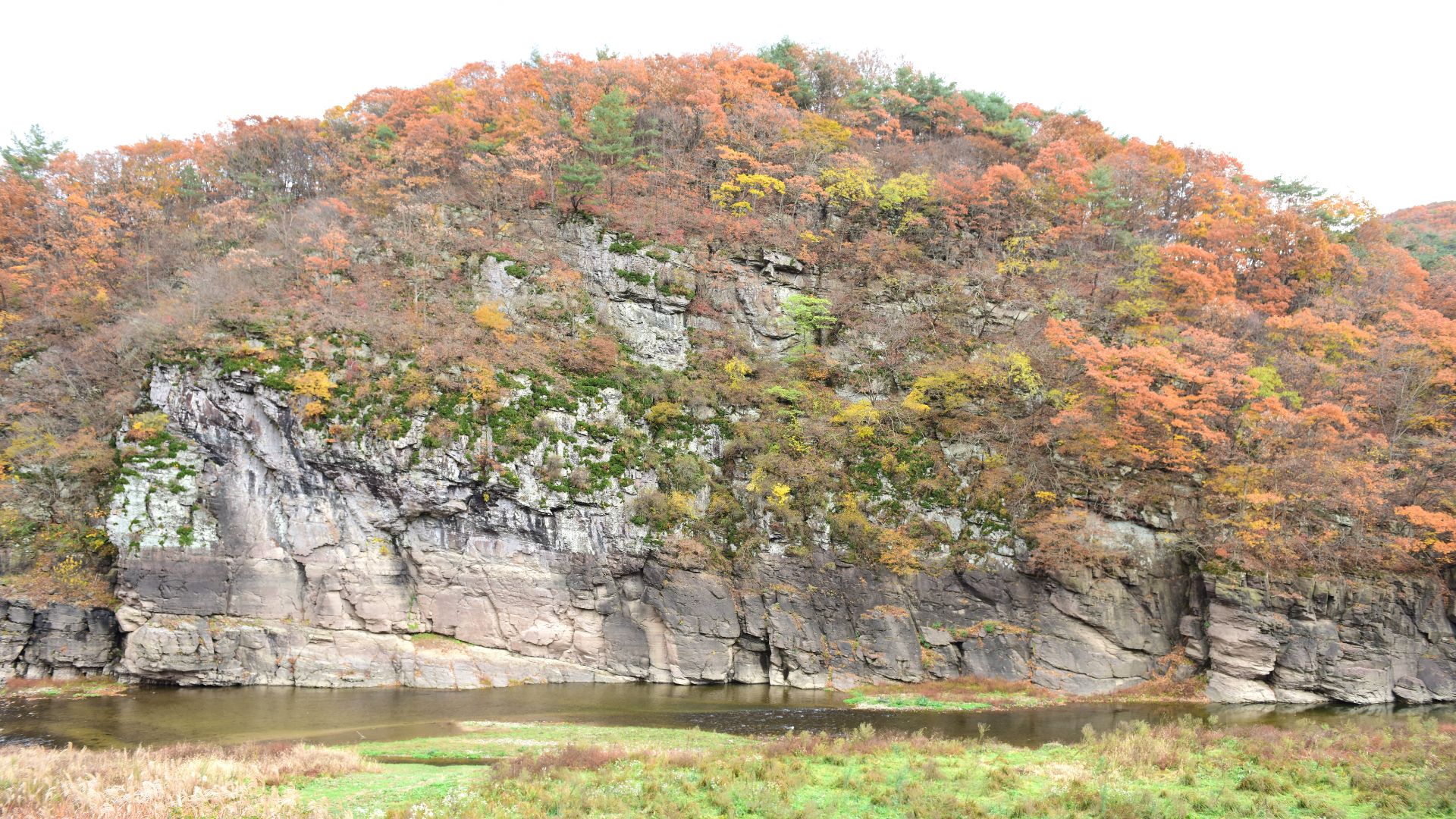 File:울주 대곡리 반구대 암각화.jpg
