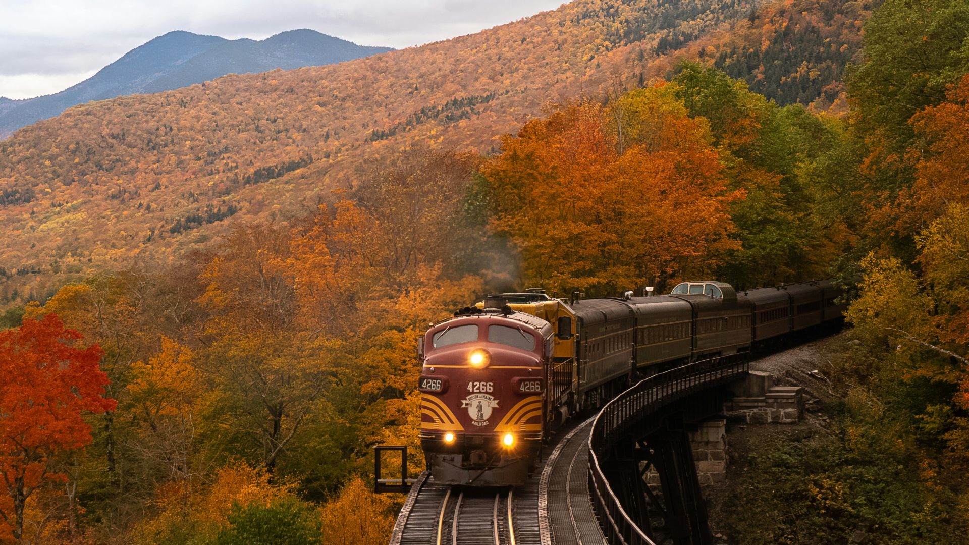 orange train between fall trees