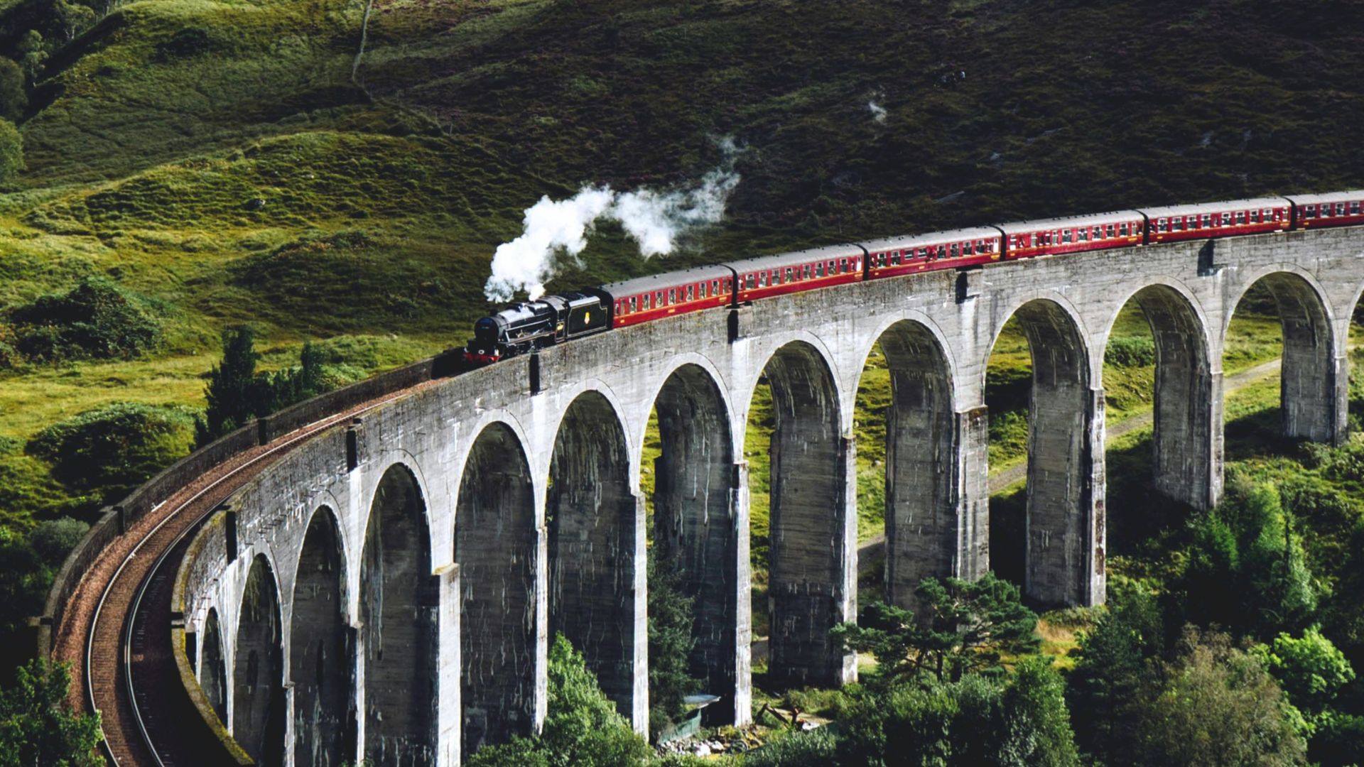 train on bridge surrounded with trees at daytime