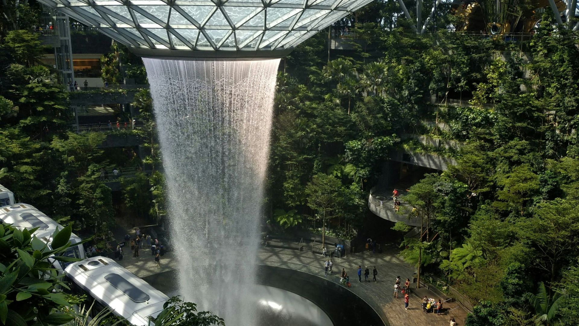indoor waterfalls surrounded by plants