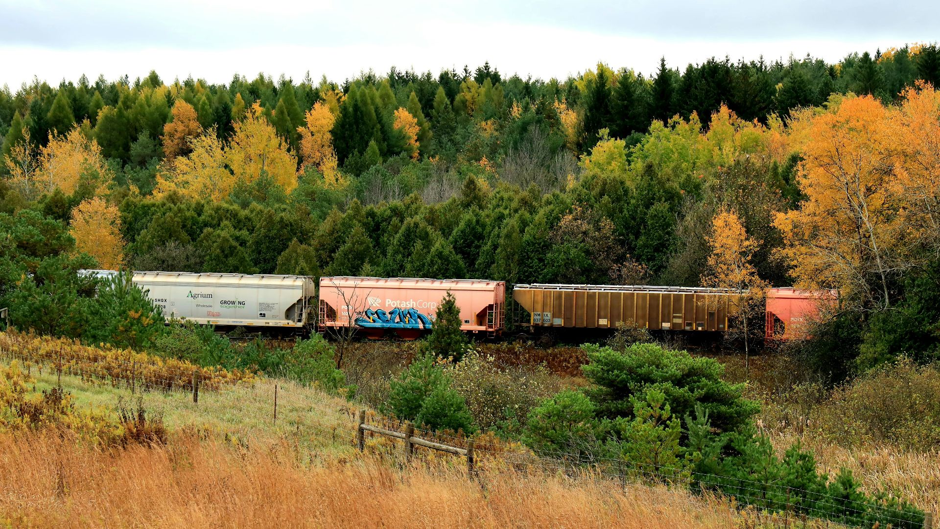 white and red train on rail road near green trees during daytime