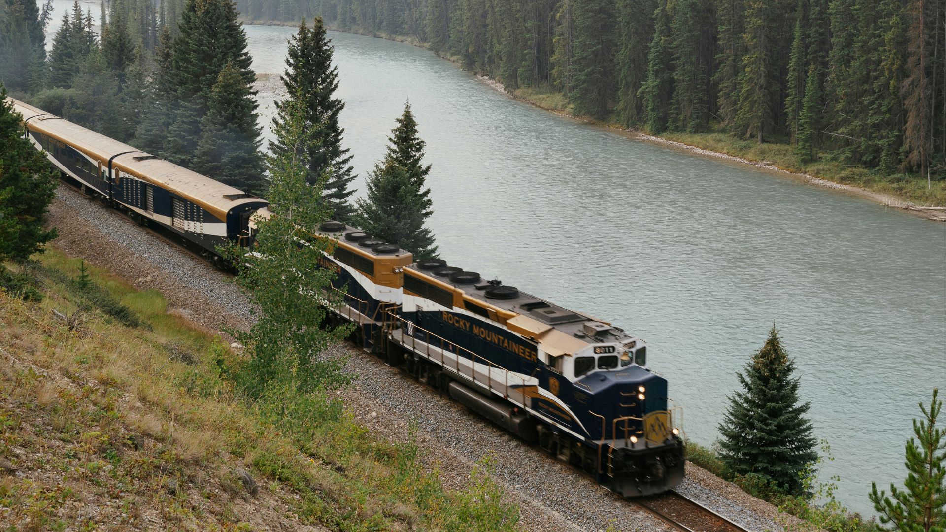 A train travels alongside a river through a forest.