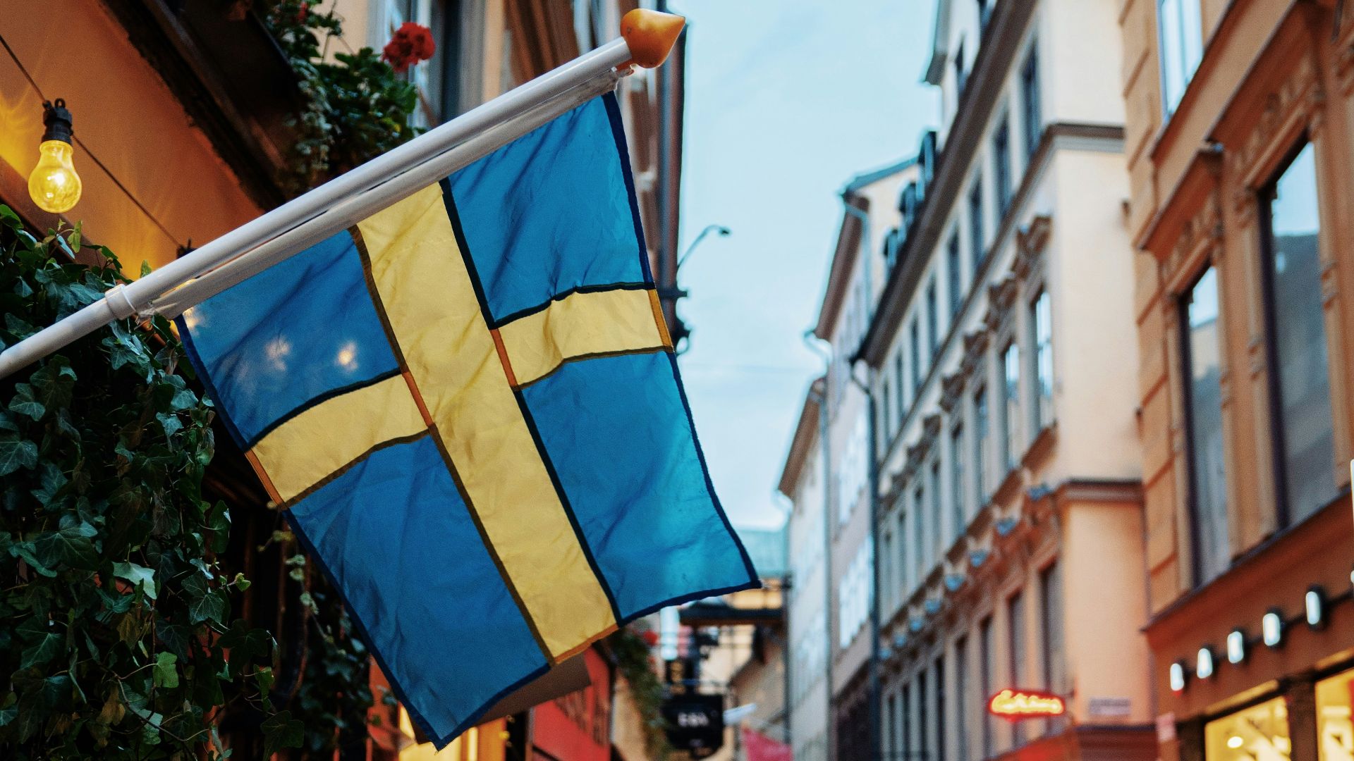 people at the street between commercial buildings