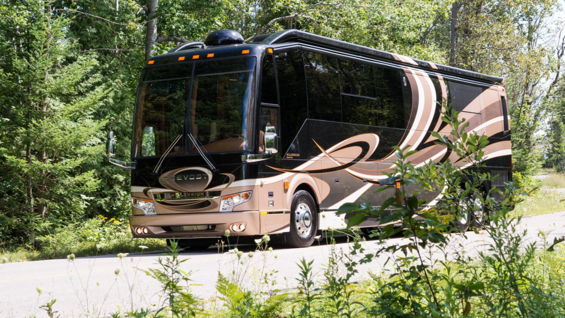 File:Millennium Coach Pic.jpg