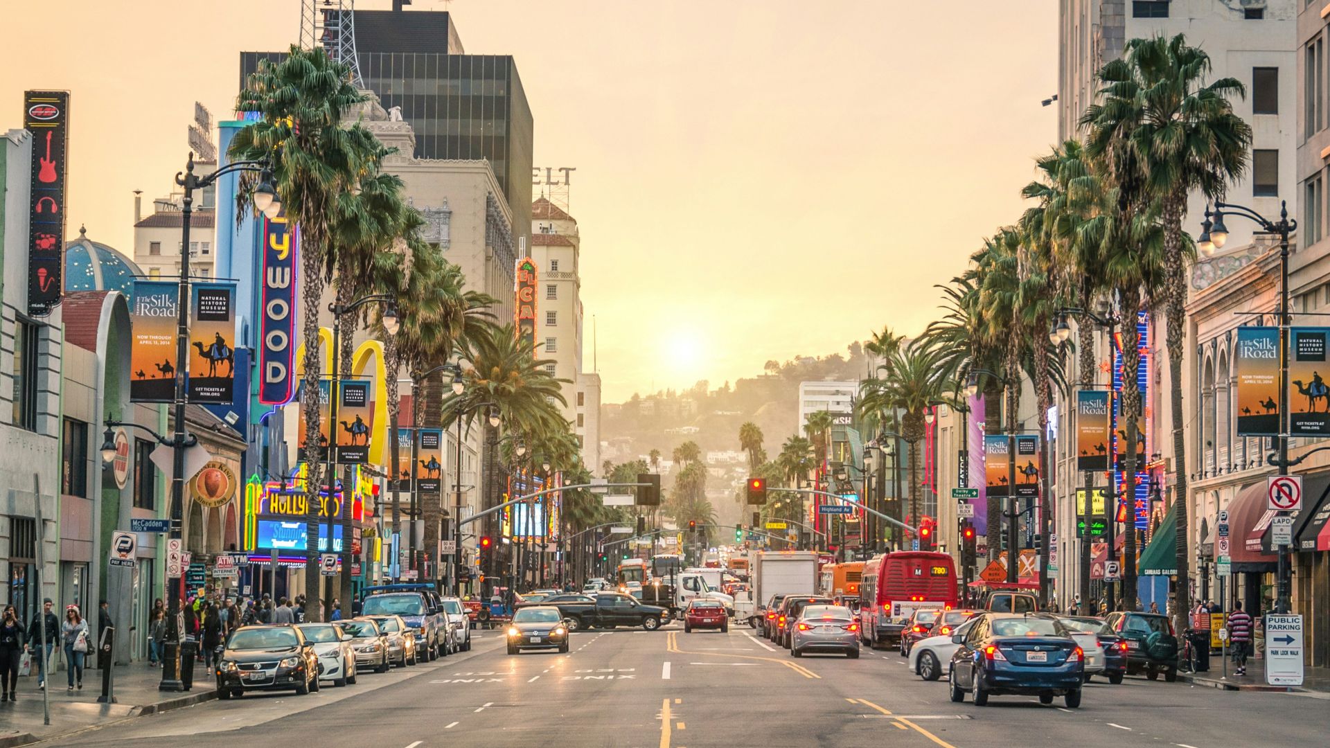 cars on road between high rise buildings during daytime