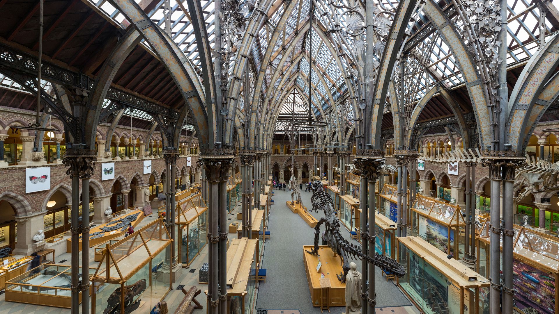 File:Oxford University Museum of Natural History, Oxford, UK - Diliff.jpg