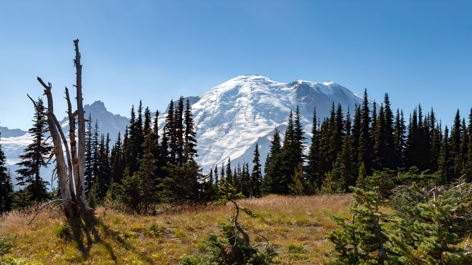 File:Mount Rainier from Sunrise WA1.jpg