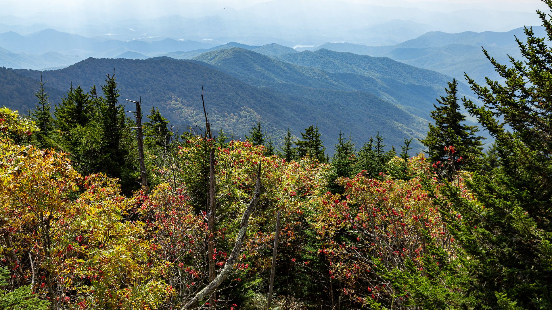 File:View east from Clingman's Dome GSMNP NC1.jpg
