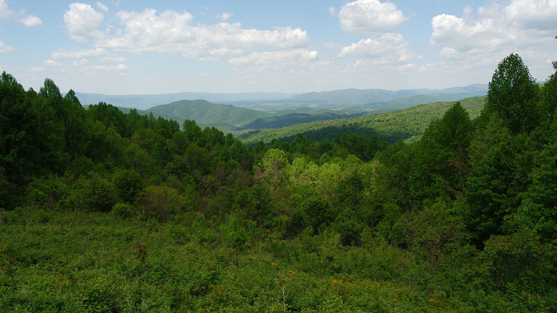 File:2005-05-21 14-30-58 Eaton Hollow Overlook from Skyline Dr Shenandoah National Park VA.jpg