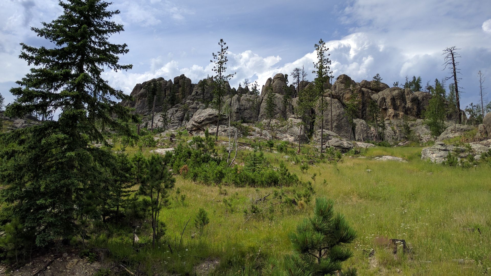 File:Black Elk Peak hike 36.jpg