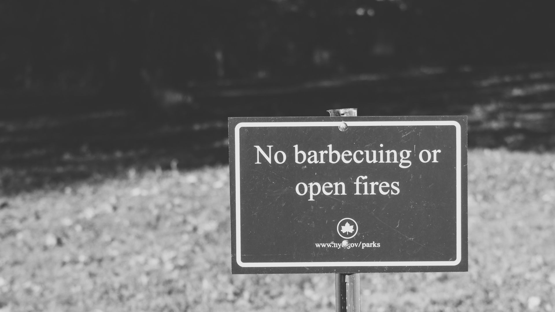 grayscale photo of no smoking sign
