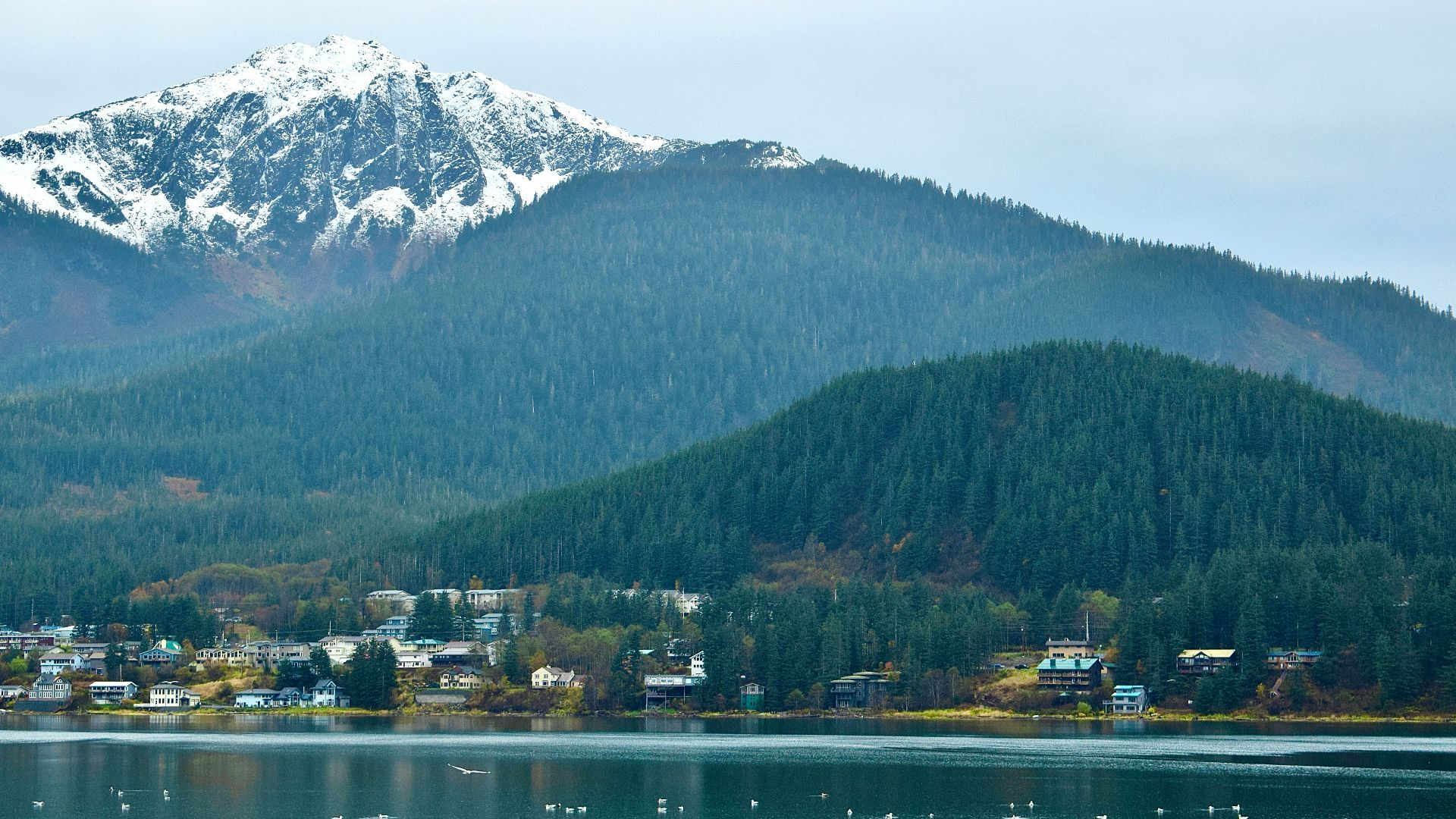 a view of a lake with a mountain in the background