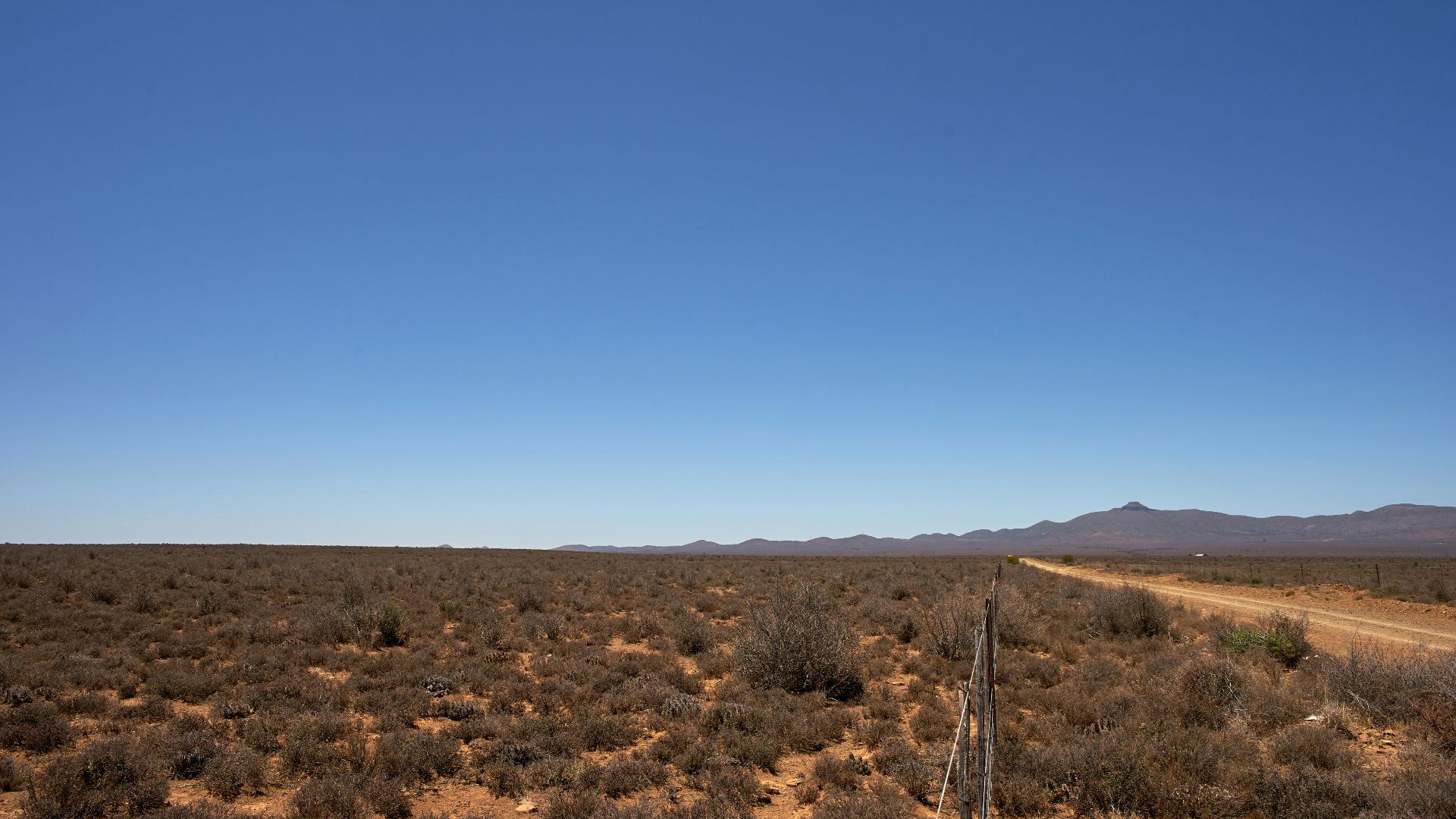 brown field under blue sky during daytime