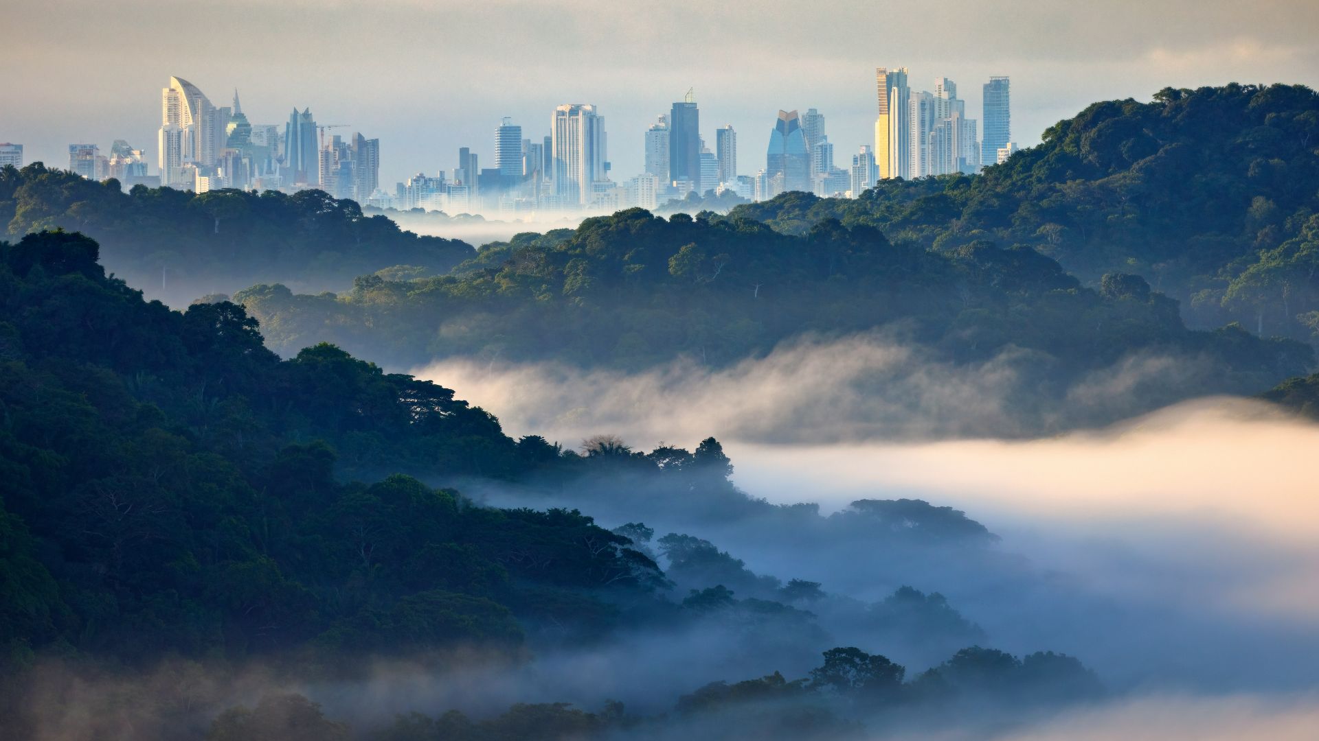 a view of a city in the distance with fog in the foreground