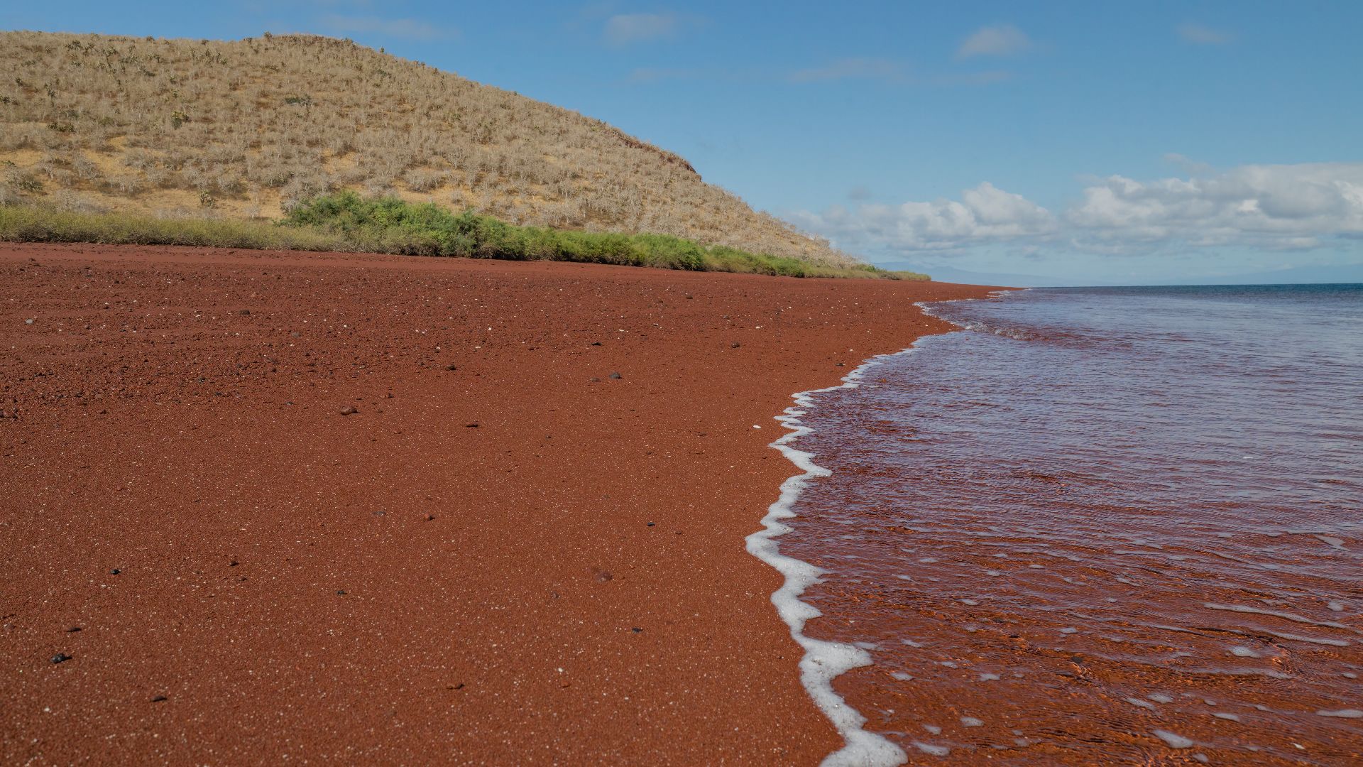 File:Galapagos photos on 13 October 2023 by the Comprehensive Nuclear-Test-Ban Treaty Organization (CTBTO) - 35.jpg