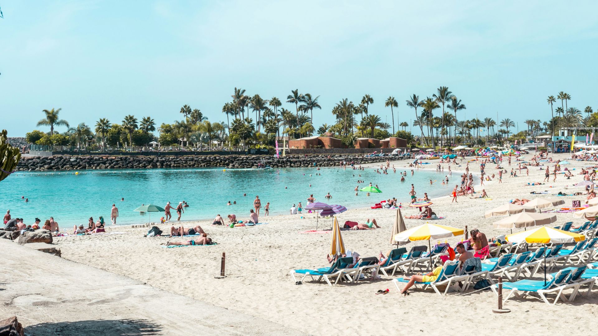 people on shore during daytime