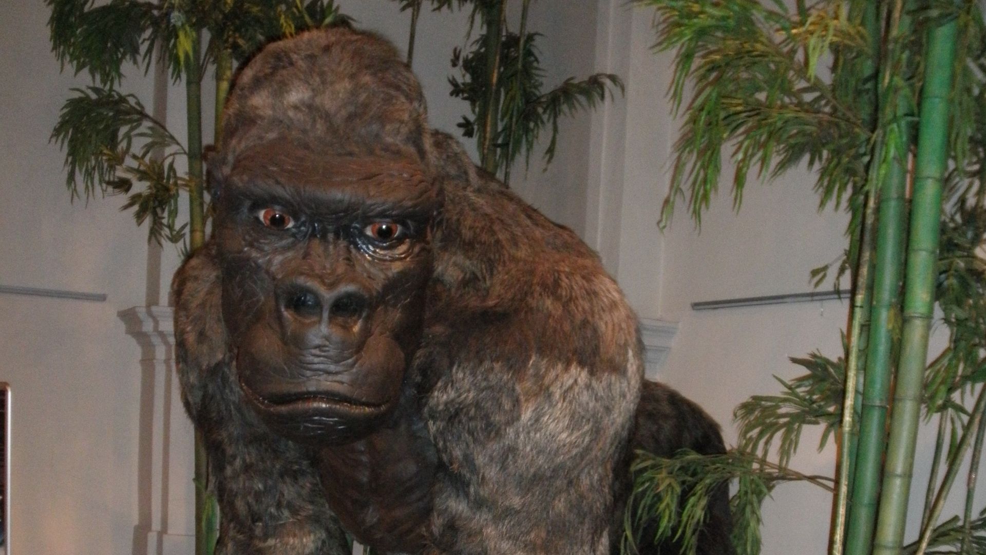 File:Gigantopithecus blacki restoration.jpg