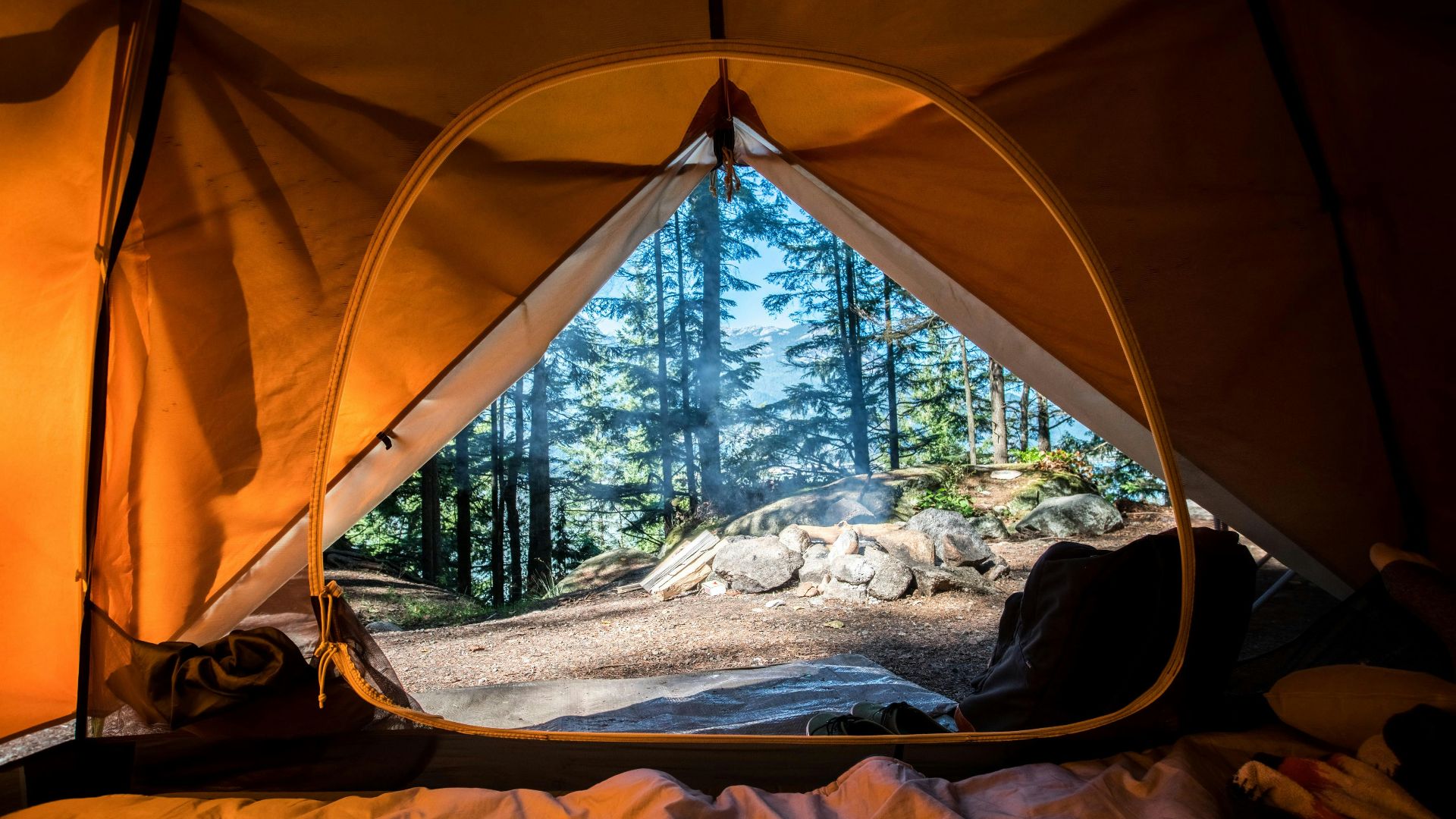 orange camping tent near green trees