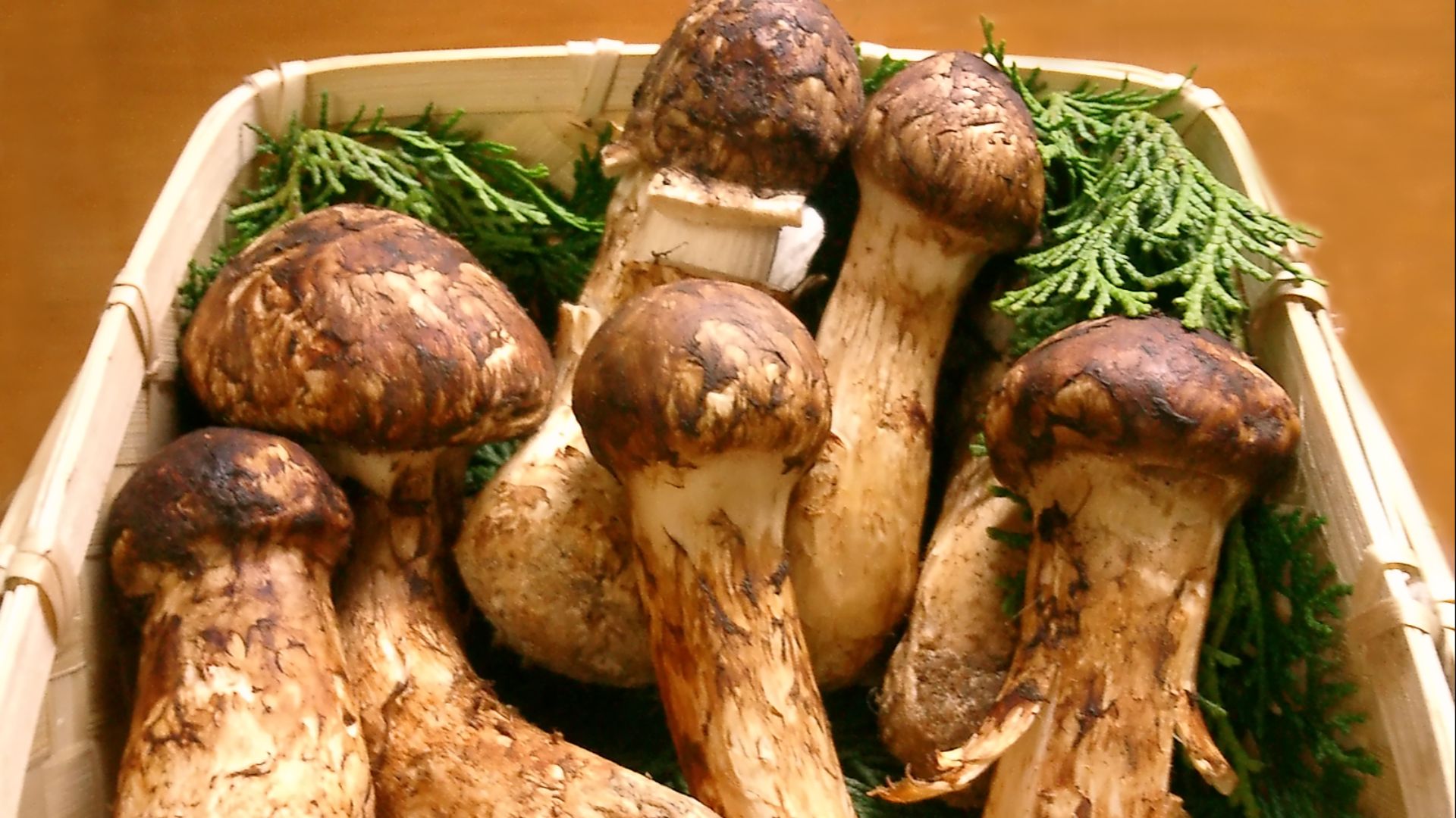 File:Matsutake.jpg