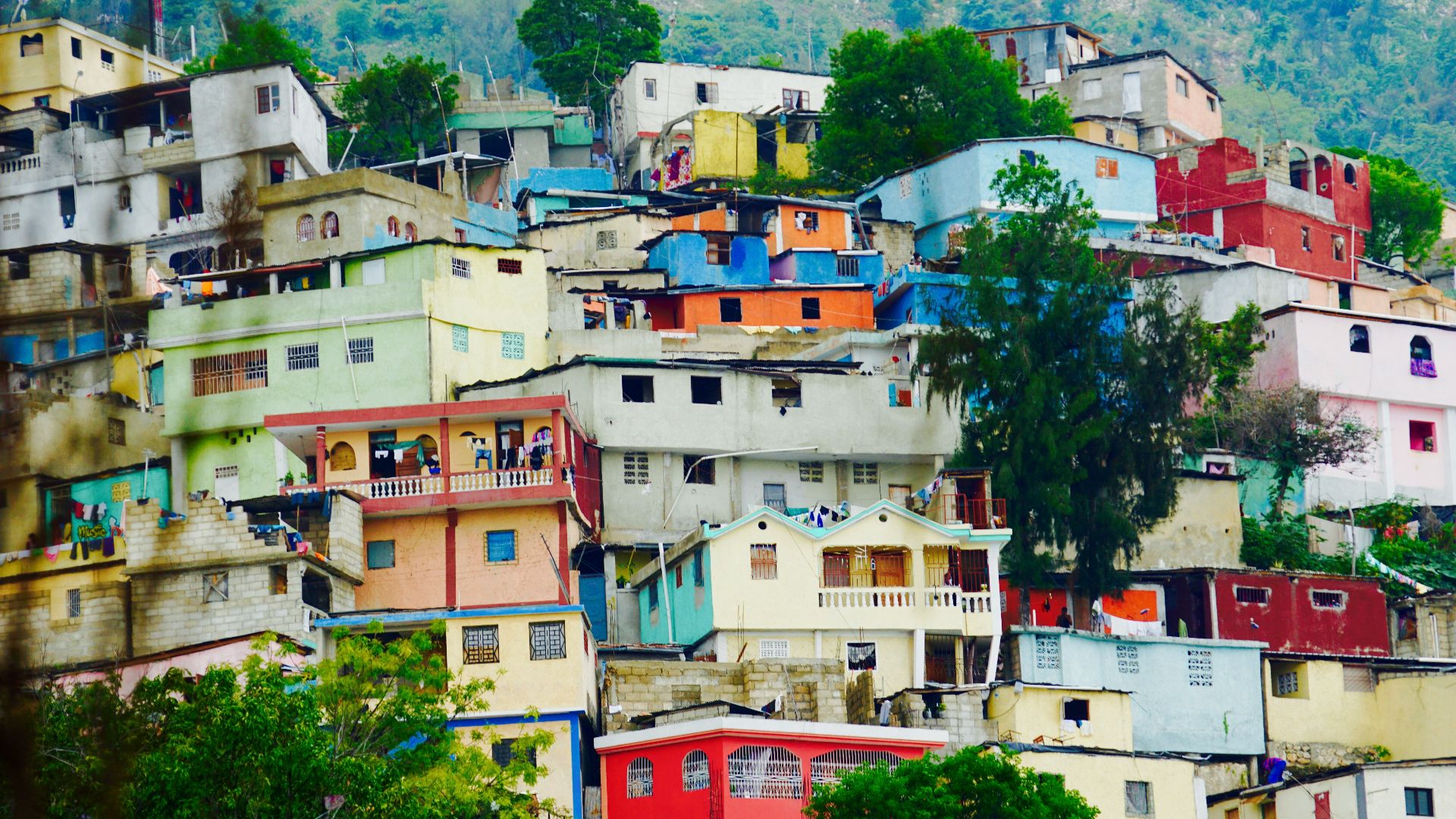 white and brown concrete houses near green trees during daytime