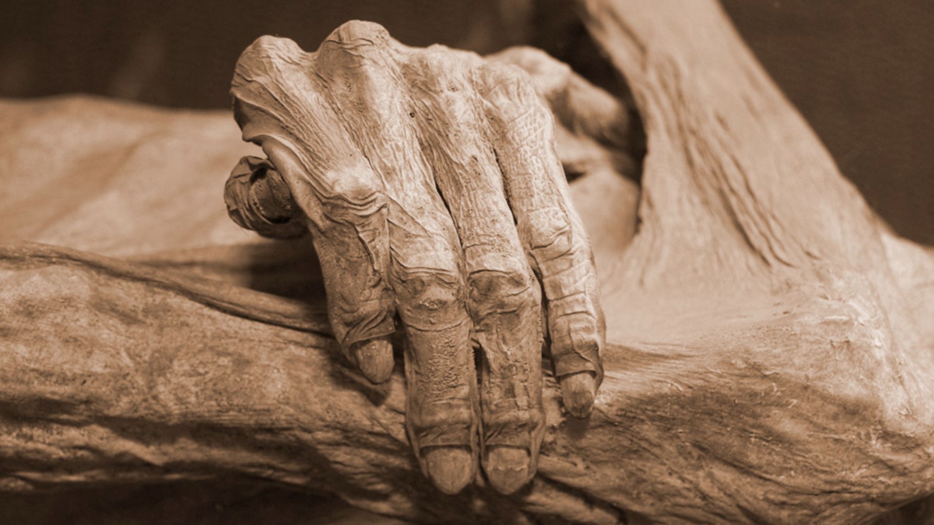 File:Guanajuato mummy 03.jpg
