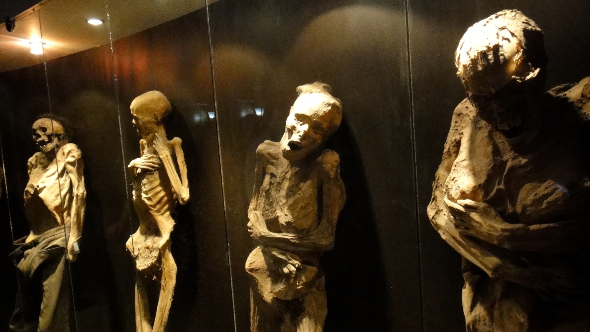 File:MOmias de Guanajuato parte 2.JPG