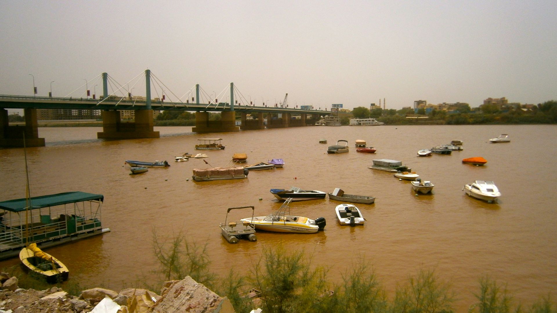 white and black cars on gray concrete bridge during daytime