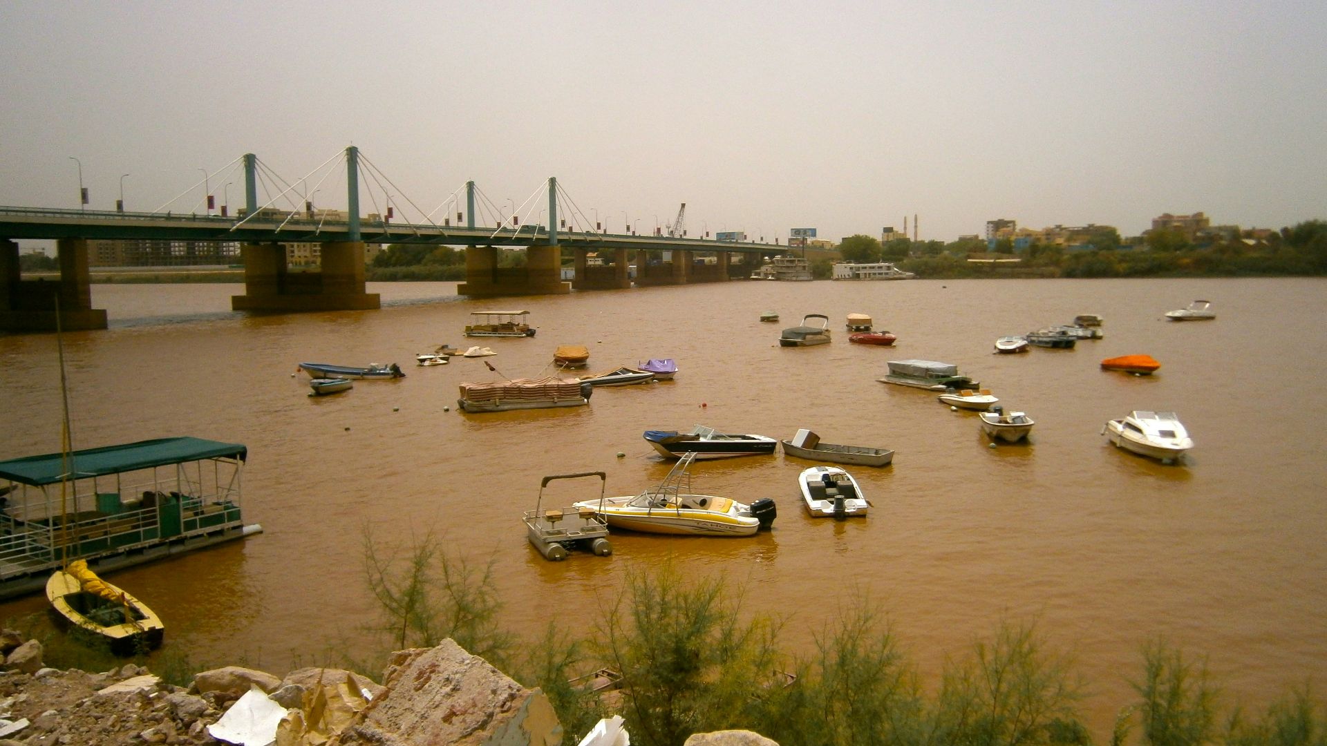 white and black cars on gray concrete bridge during daytime