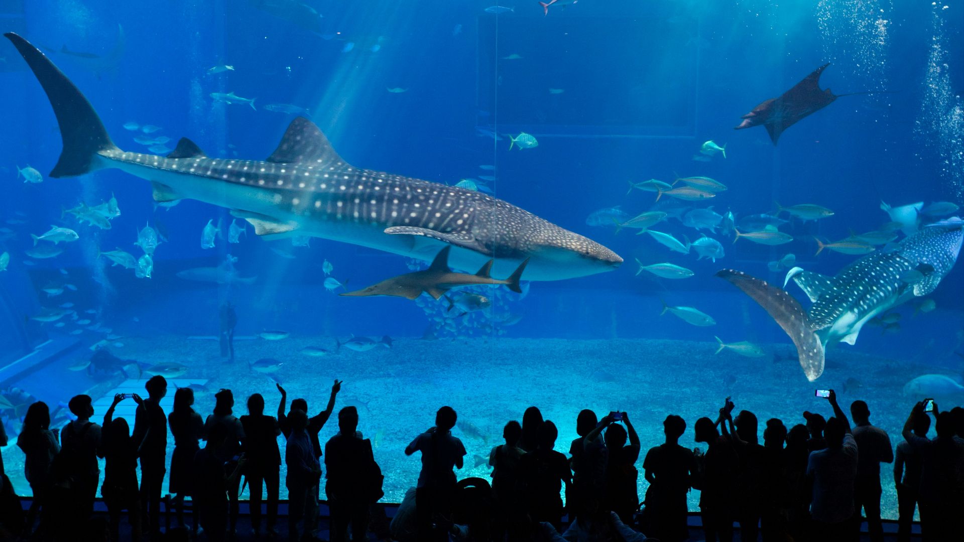 group of people in front of fish tank