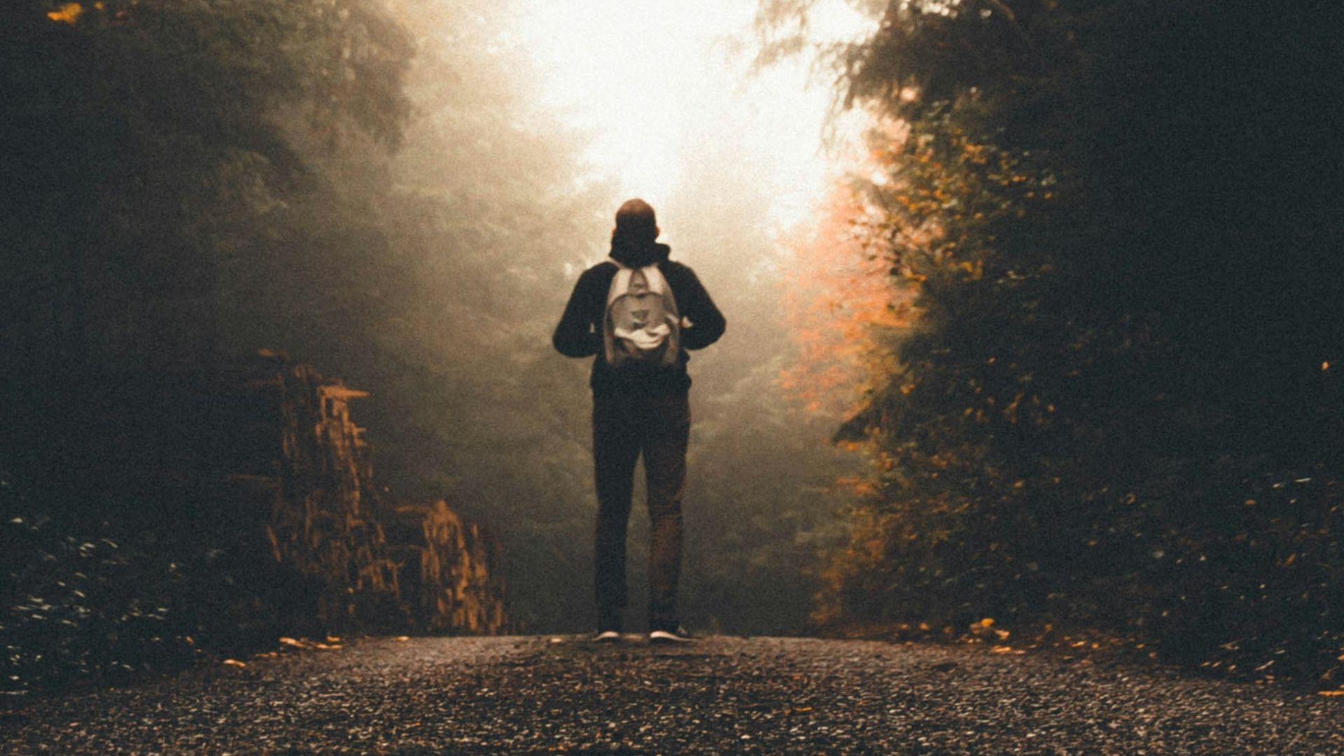man person standing between tall trees