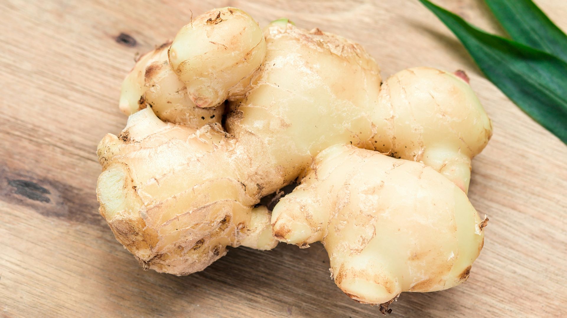 white garlic on brown wooden table