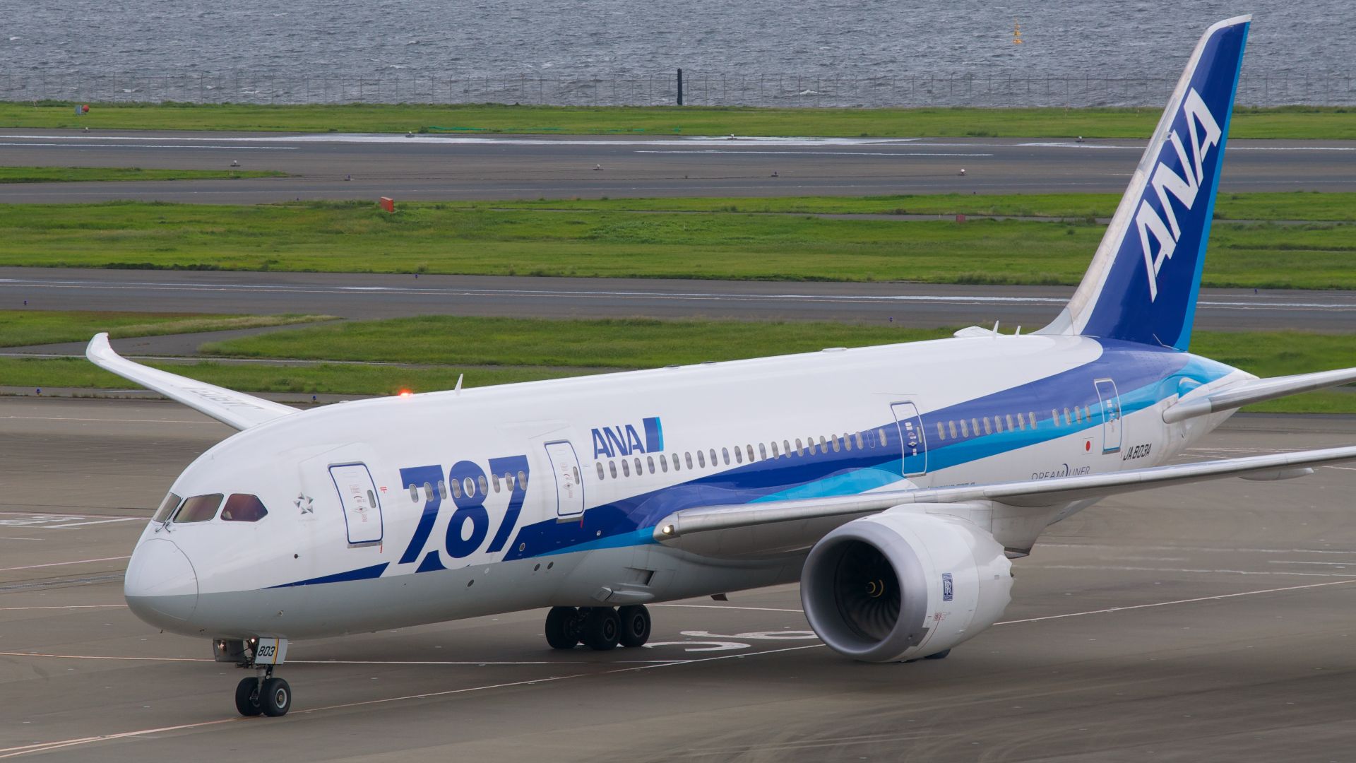 File:All Nippon Airways, Boeing 787-8 Dreamliner, JA803A (16870467506).jpg