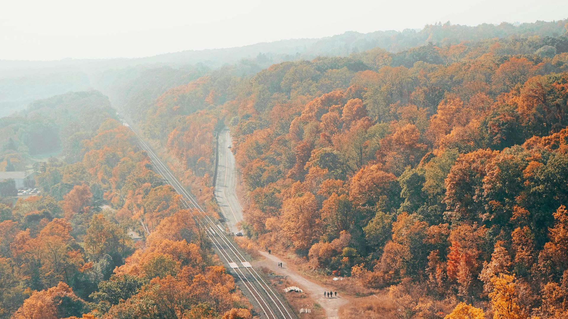 road in the middle of trees