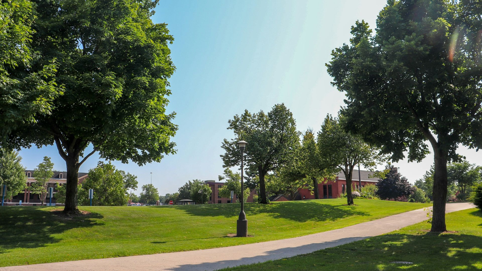 a path in a park with trees and a building in the background