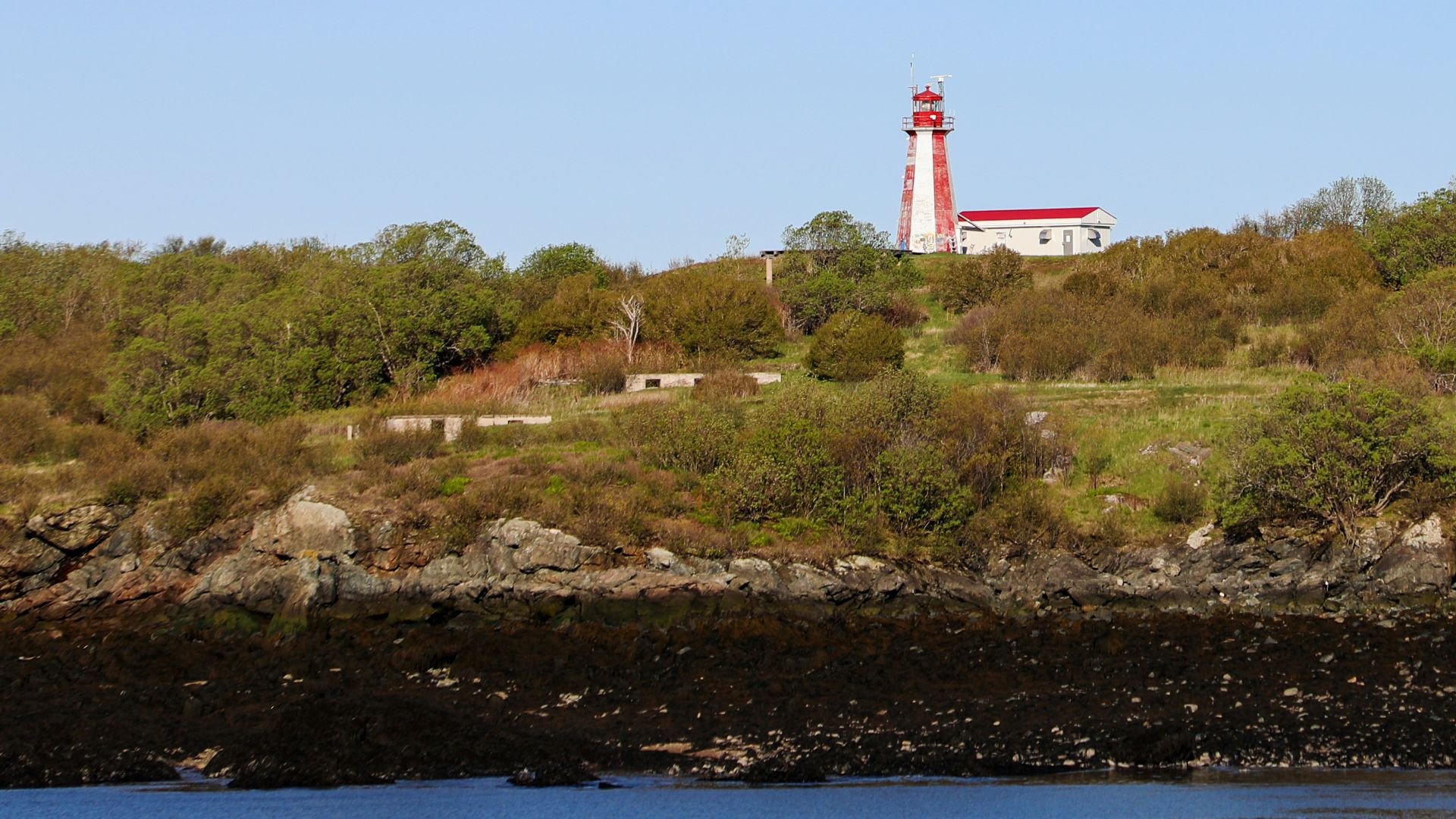 white and red lighthouse on hill near body of water