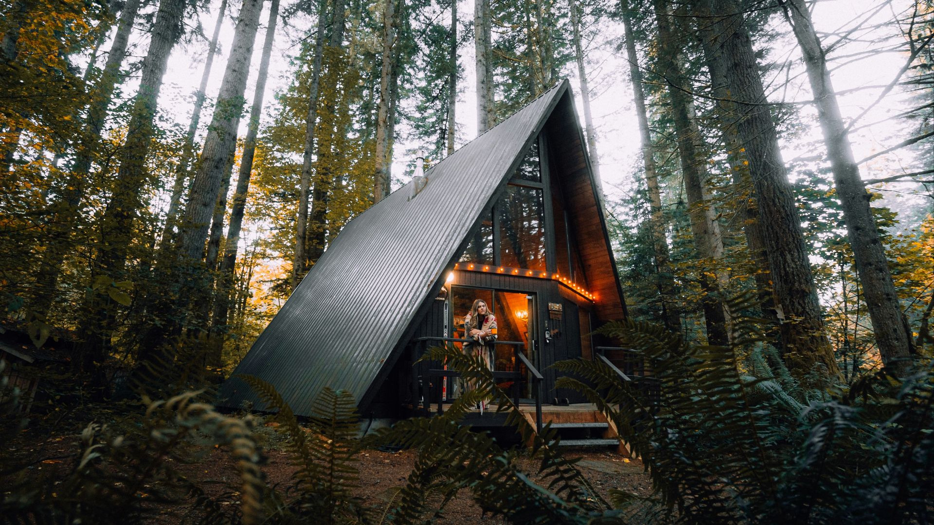 brown wooden house in the woods