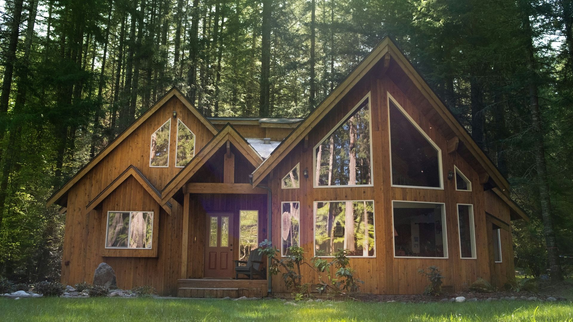 brown wooden house in the middle of forest during daytime