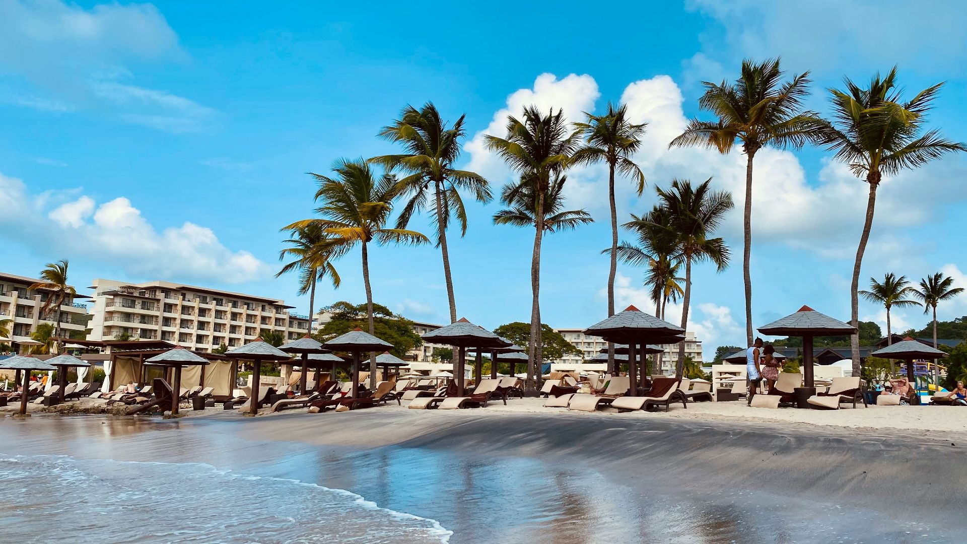 a beach with a bunch of umbrellas and palm trees