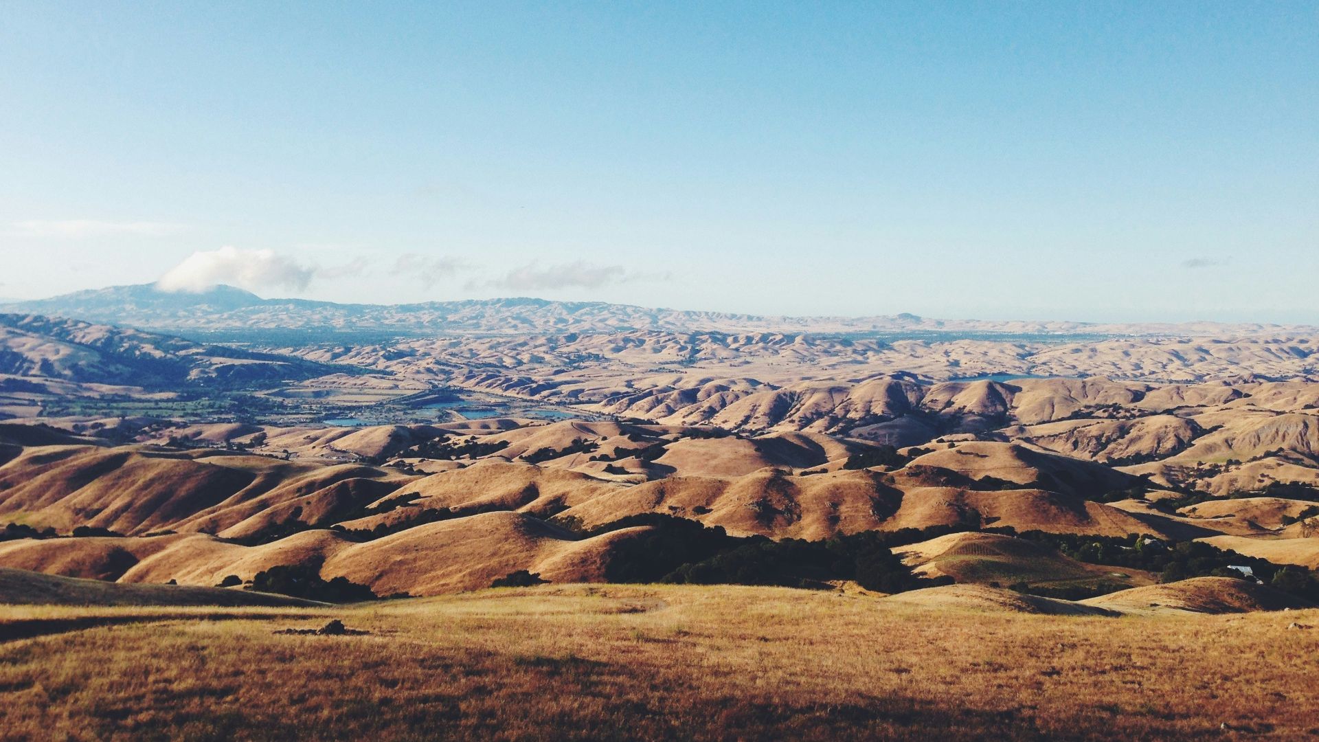panoramic photo of sand dunes